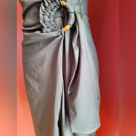 NWT Dress, gorgeous waist detail. - Picture 6 of 13